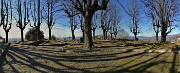 03 Al Parco del Castello di San Vigilio piante secolari